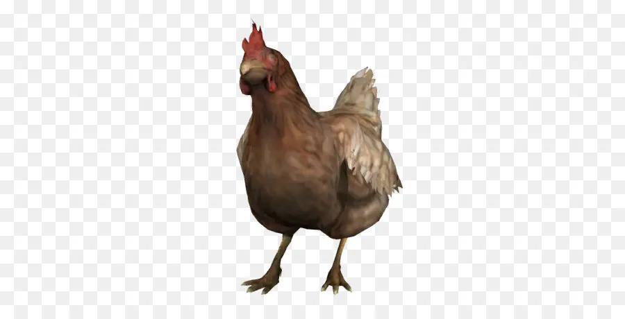 Counterstrike Global Offensive，Pollo Leghorn PNG