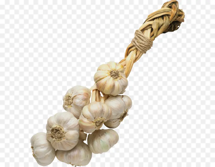 Trenza De Ajo，Clavo PNG