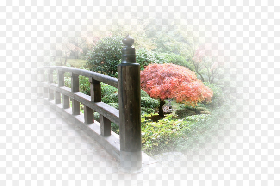 Puente De Otoño，Árboles PNG