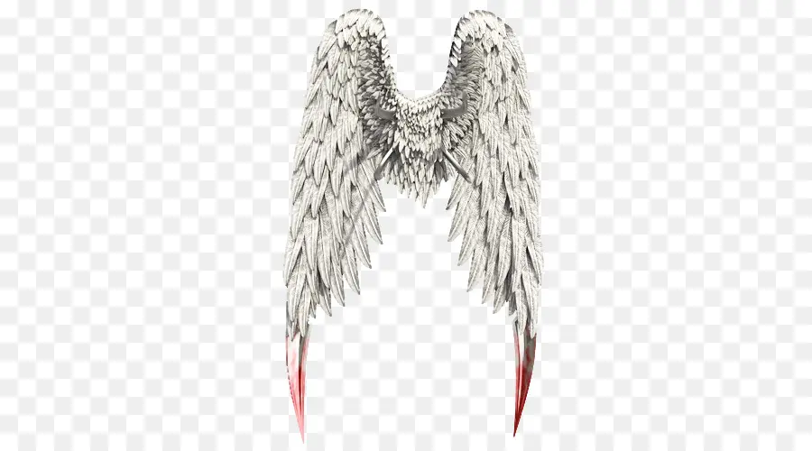 Cuello，Pluma PNG