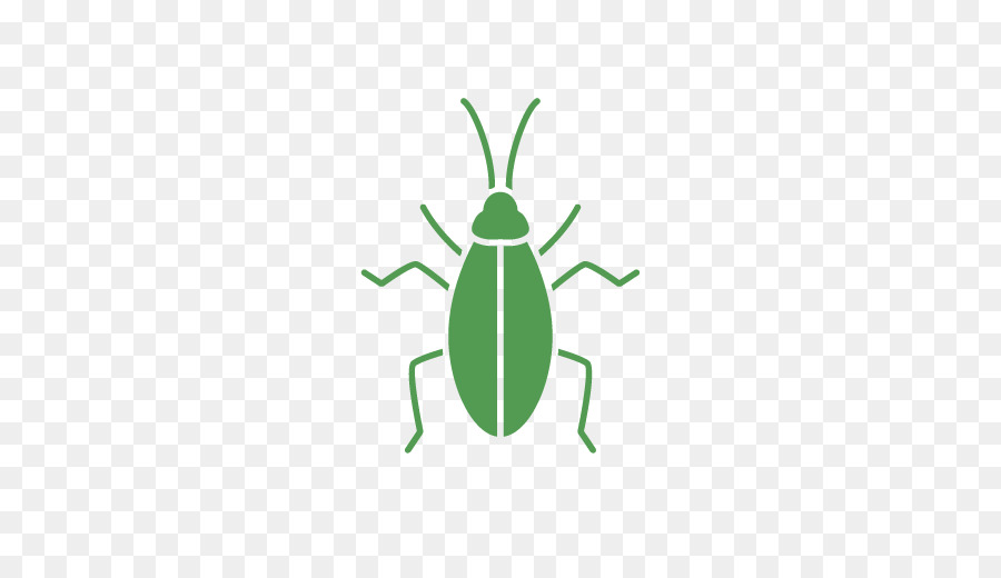 Cucaracha，De Plagas PNG