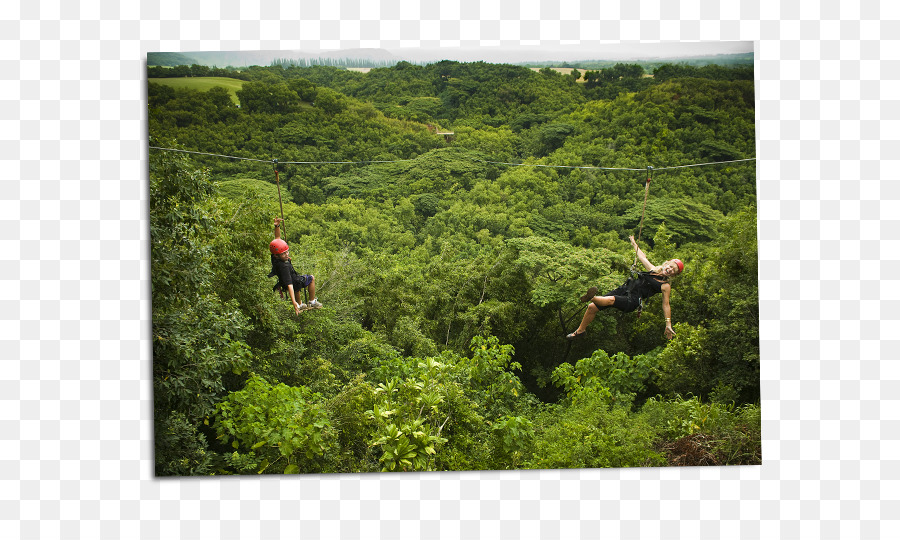 Zipline Safari，Outfitters Kauai PNG