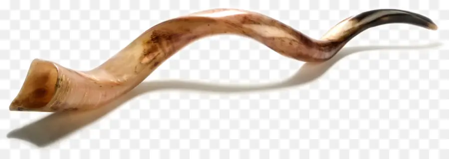 Shofar，Bocina PNG