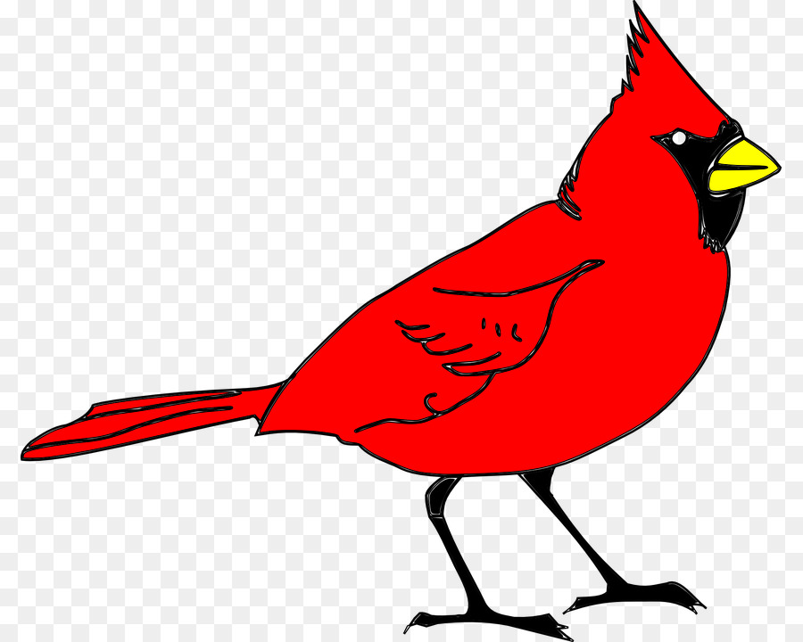 Cardenal Del Norte，St Louis Cardinals PNG