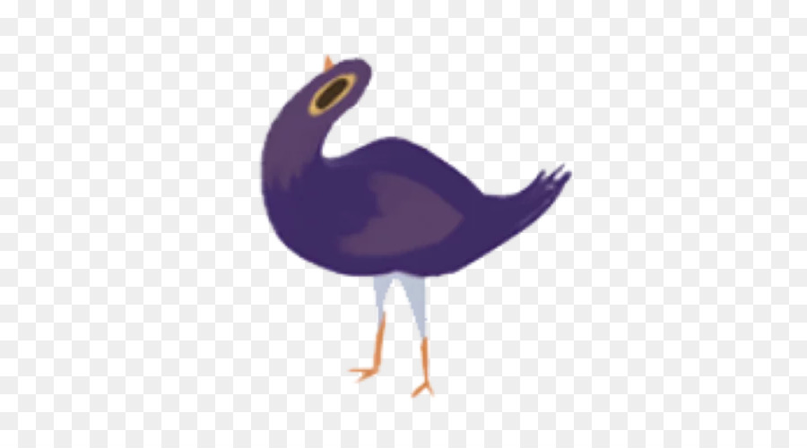 Pájaro，Naturaleza PNG