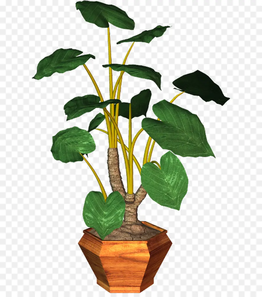 Planta En Maceta，Hojas PNG