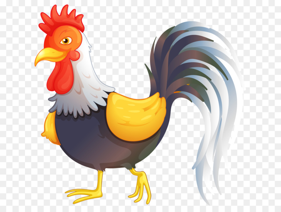 Gallo，Papel PNG