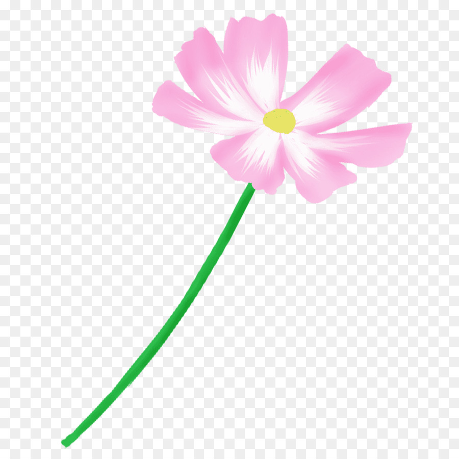 Rosa，Azul PNG