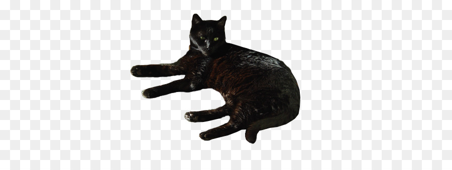 Estatua Del Gato Negro，Animal PNG