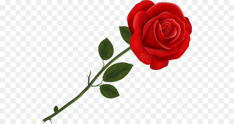 Rosa，Rojo PNG