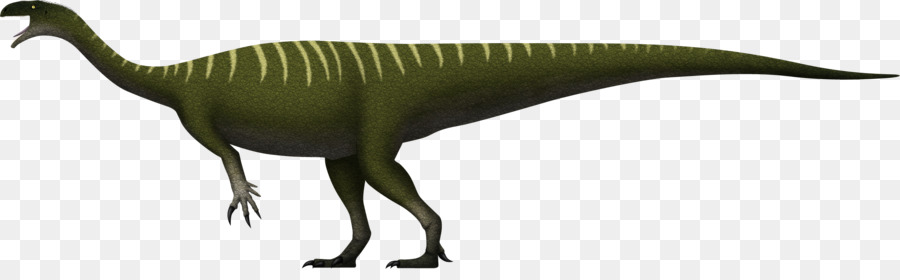 Plateosaurus，Velociraptor PNG