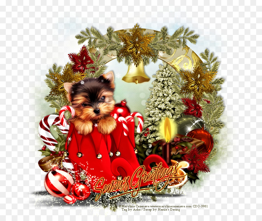 Cachorro De Navidad，Día Festivo PNG