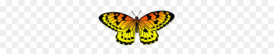 Mariposa，La Mariposa Monarca PNG