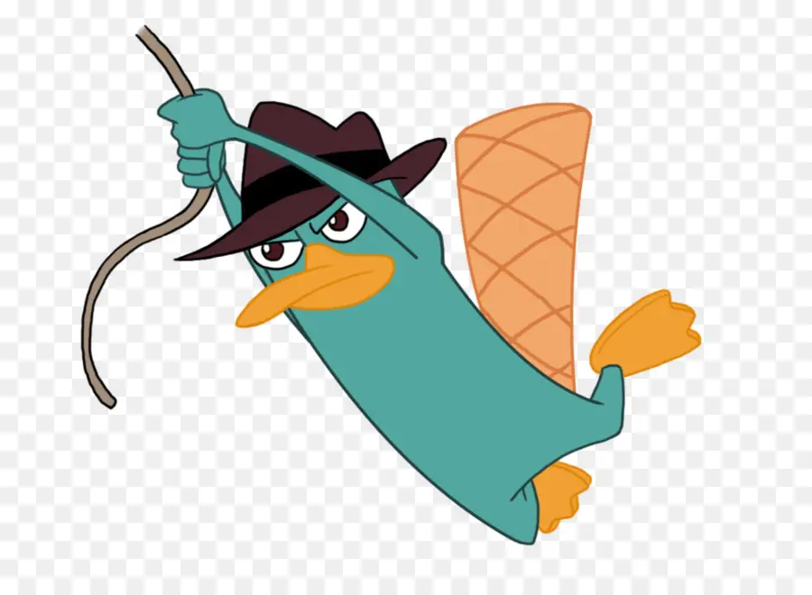 Perry El Ornitorrinco，El Ornitorrinco PNG