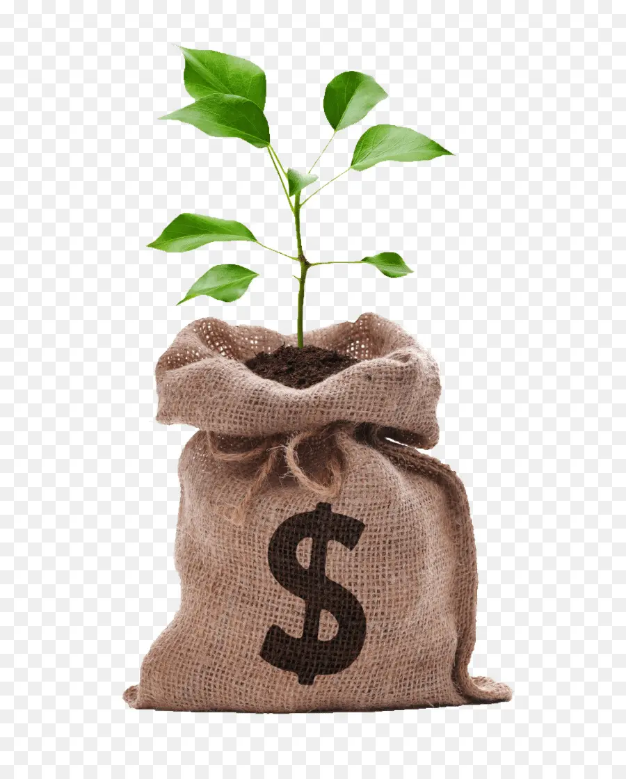 Bolsa De Dinero Con Planta，Crecimiento PNG