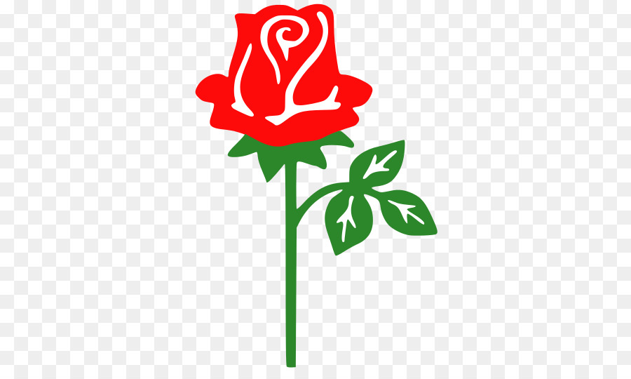 Rosa，Rojo PNG