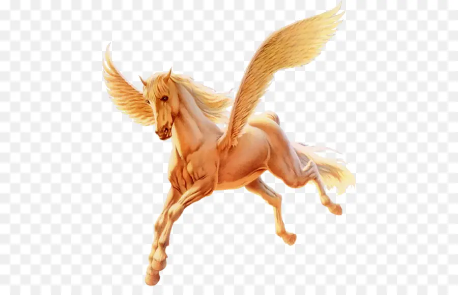 Pegaso，Caballo PNG