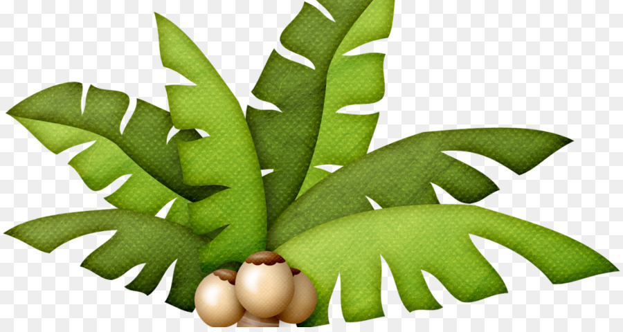 Dibujo，Arecaceae PNG