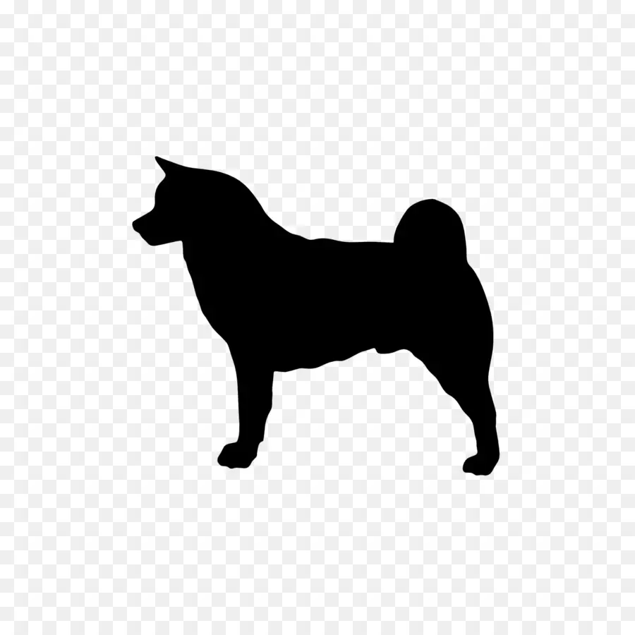 Akita，Shiba Inu PNG