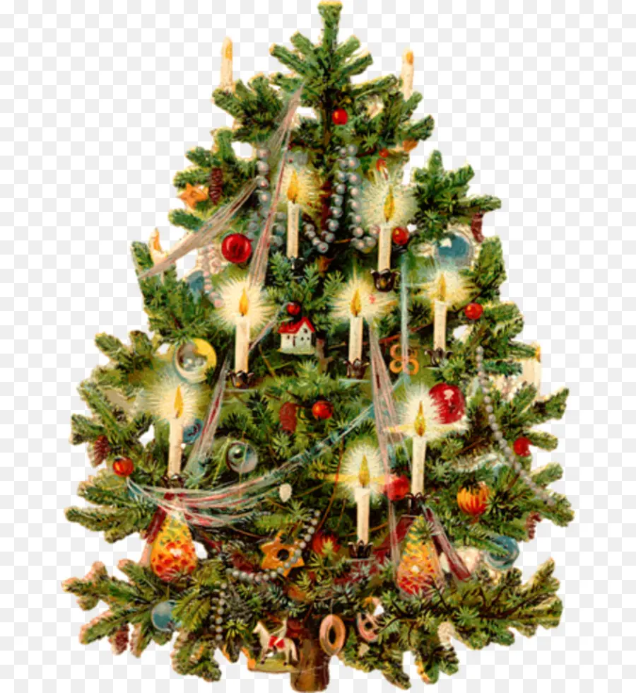 Árbol De Navidad，Navidad PNG