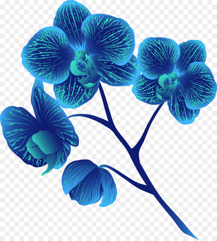 Orquídea Azul，Planta PNG