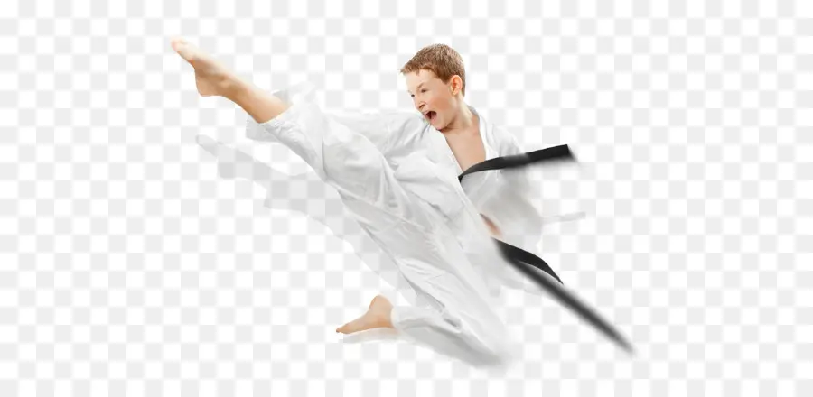 Karate，Las Artes Marciales PNG