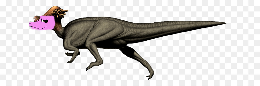 Velociraptor，Pachycephalosaurus PNG