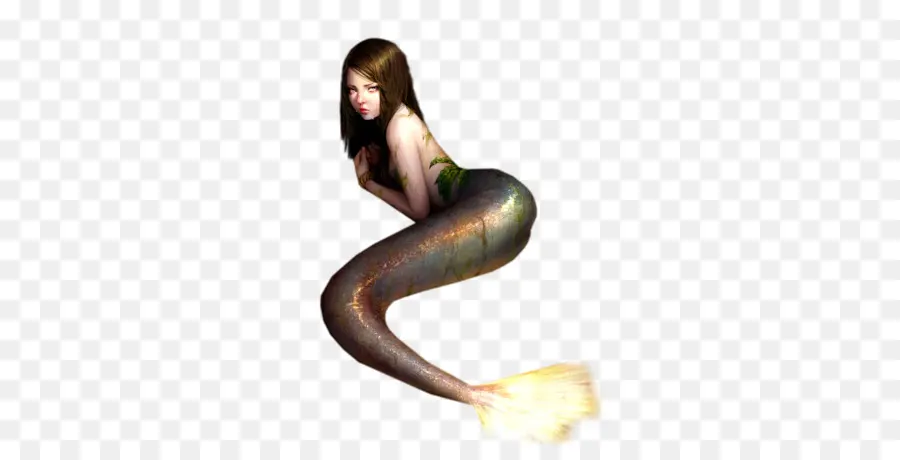 Sirena，Cola De Pez PNG