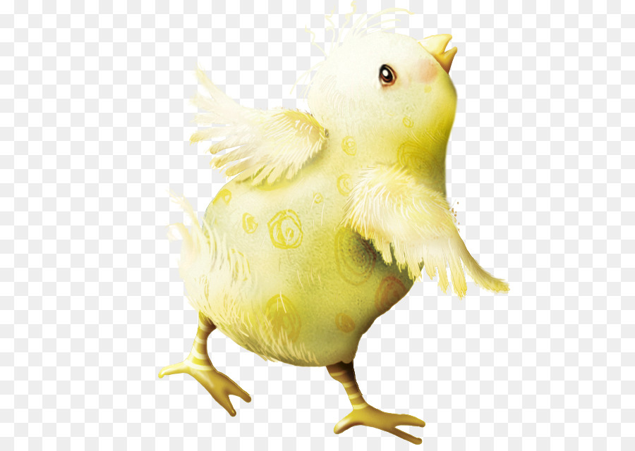 Pato，Lutka PNG