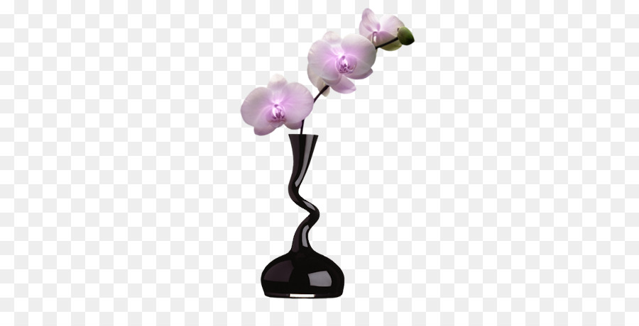 Orquídea En Florero，Flor PNG