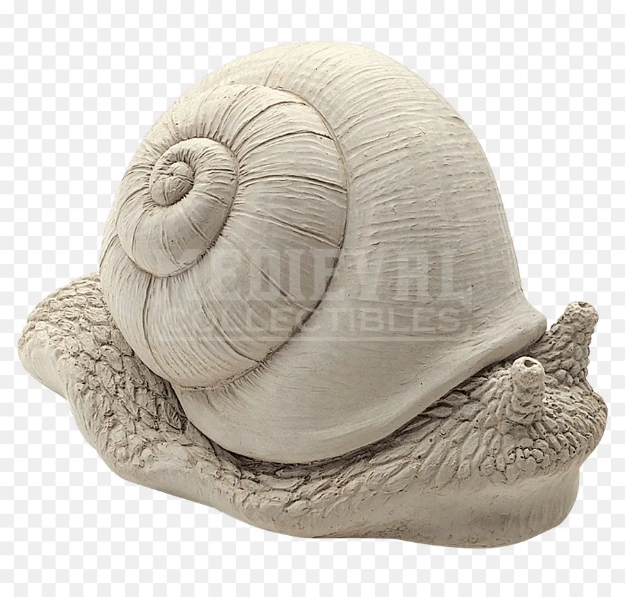 Escultura De Caracol，Caracol PNG