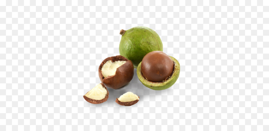 Nuez De Macadamia，Aceite De Macadamia PNG