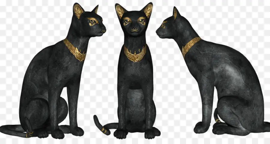 Gato Negro，El Gato Bombay PNG