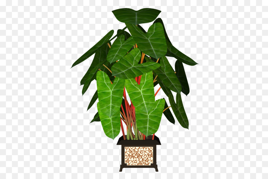 Planta En Maceta，Hojas PNG