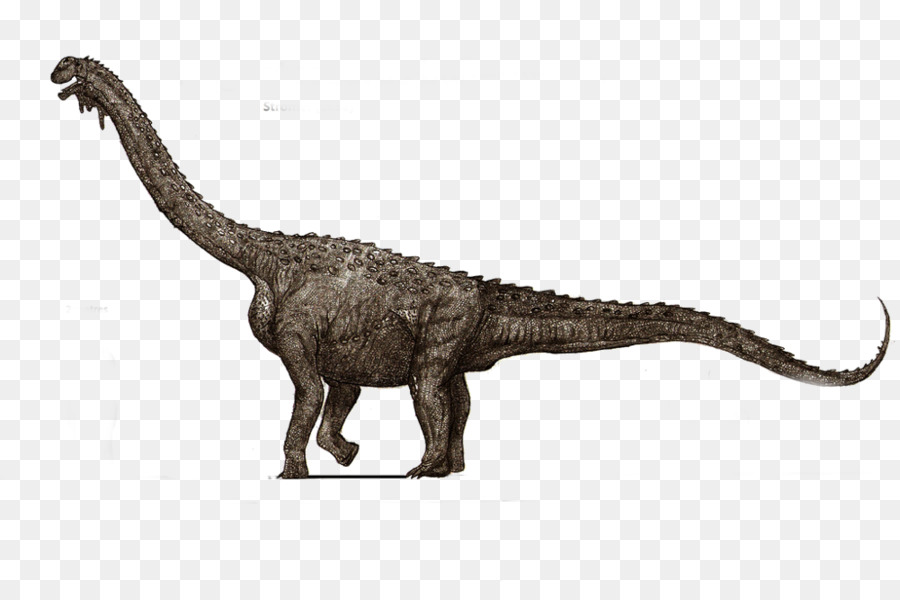 Aegyptosaurus，Alamosaurus PNG