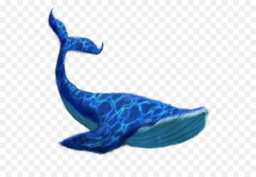 Ballena，La Ballena Azul PNG