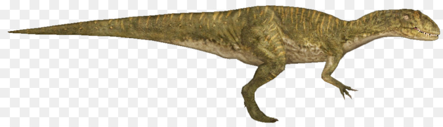 Dinosaurio，Reptil PNG