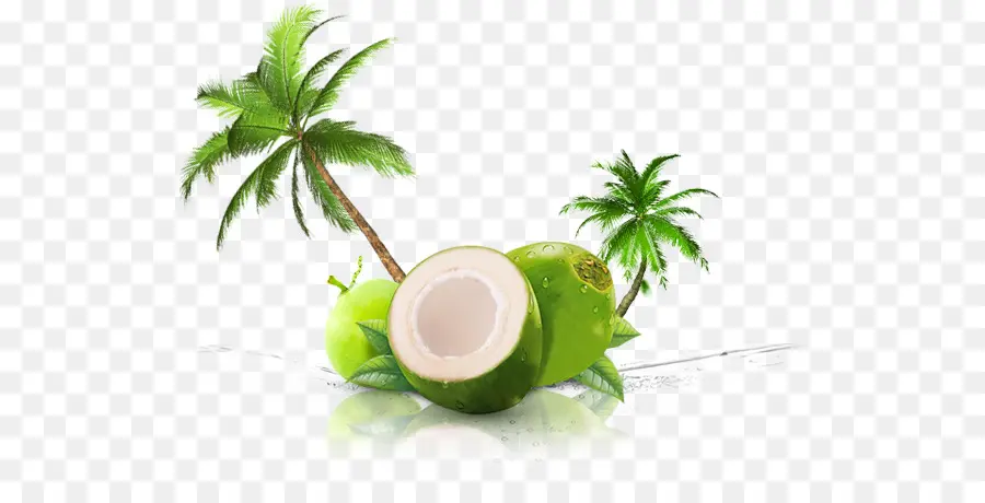 Agua De Coco，La Leche De Coco PNG