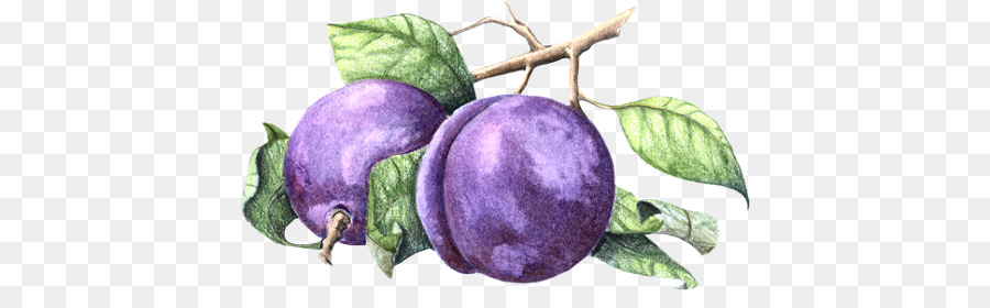 La Fruta，Dibujo PNG