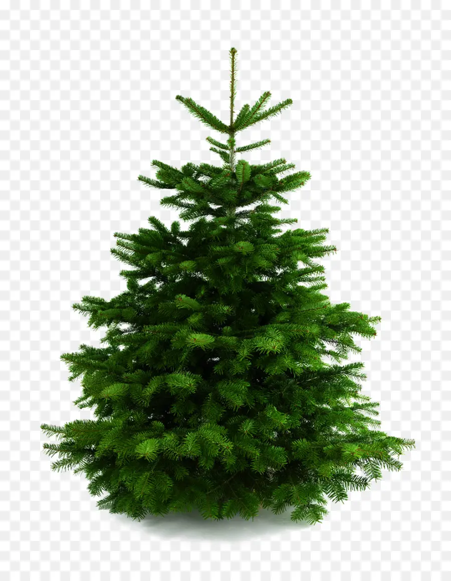 árbol De Navidad，La Navidad PNG