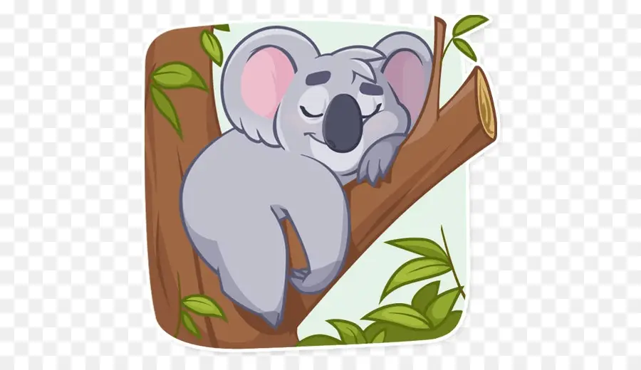 Coala，Árbol PNG