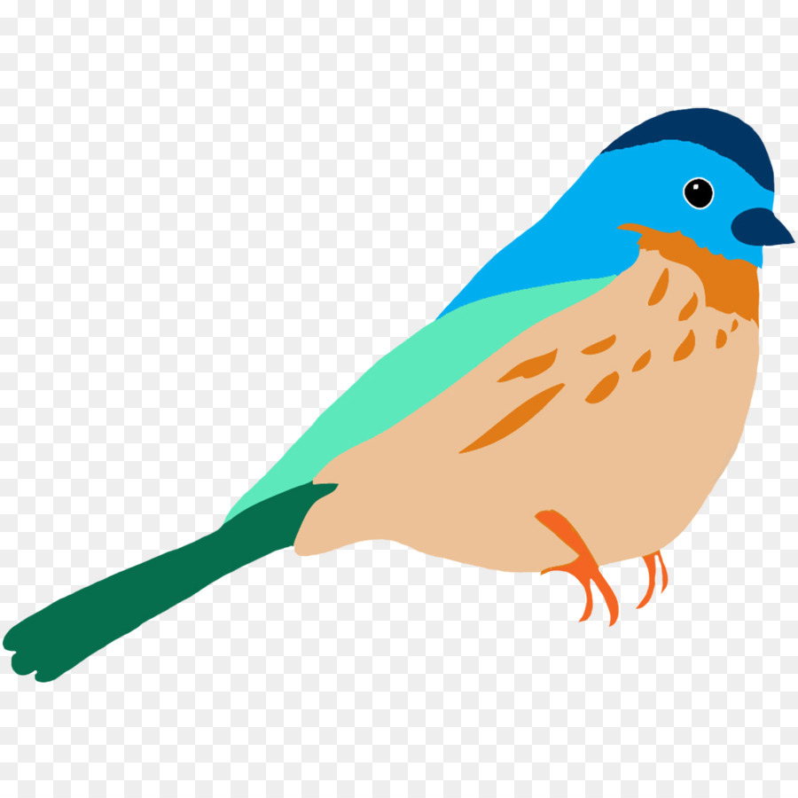 Pájaro，Fondo De Escritorio PNG