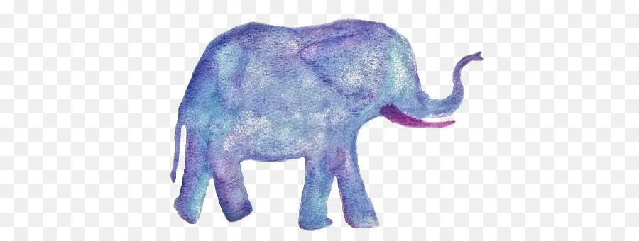 Elefante，Bebé PNG