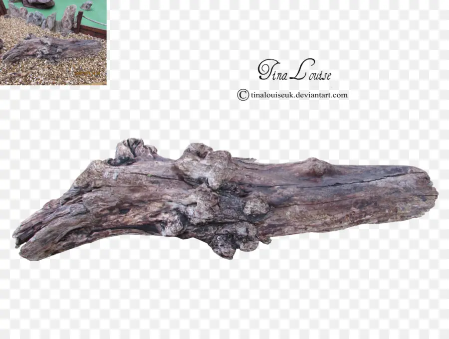 Driftwood，árbol PNG