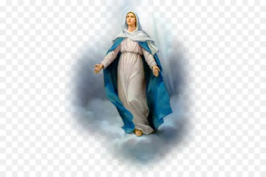 Nuestra Señora De Guadalupe，Inmaculada Concepción PNG