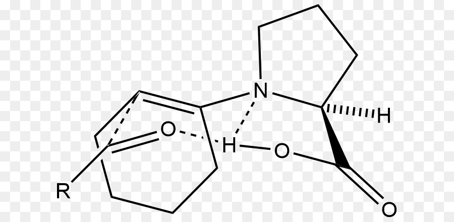 Enamine，Reacción Aldólica PNG