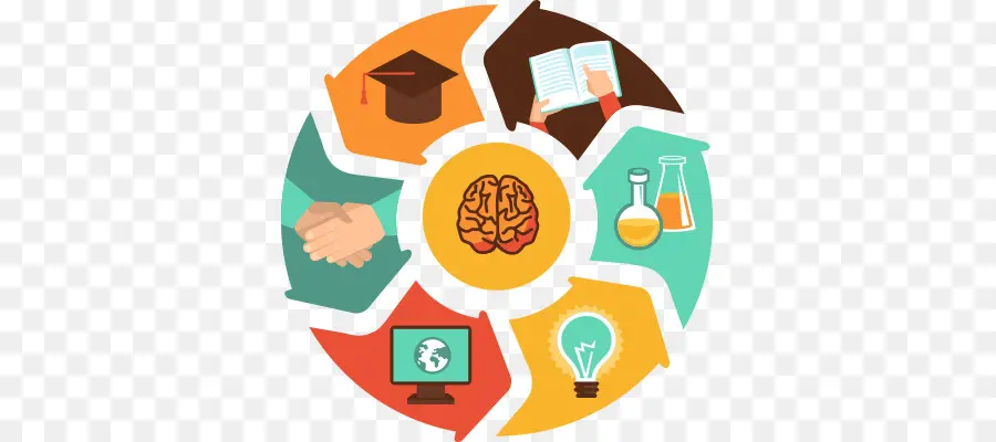 Concepto De Educación，Cerebro PNG