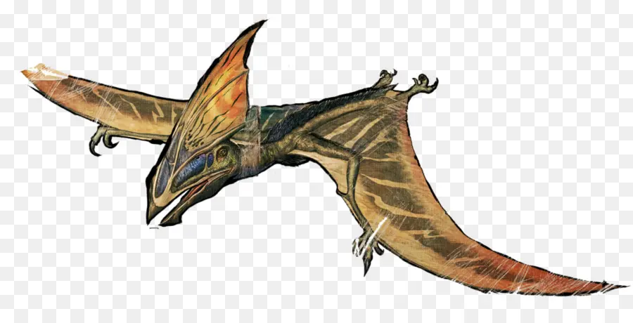 Arca De Supervivencia Evolucionado，Compsognathus PNG