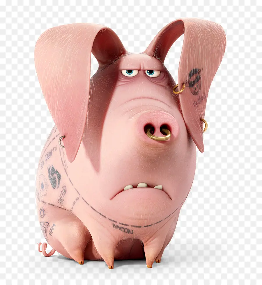 Cerdo，Gidget PNG