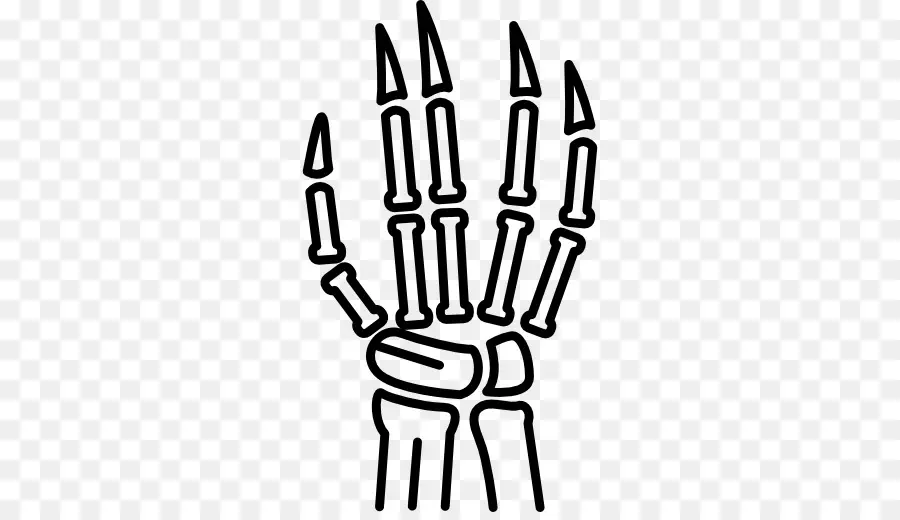 De La Mano，Cuerpo Humano PNG